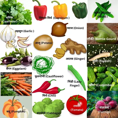 100 Vegetables Names In Hindi To English HindiPradesh