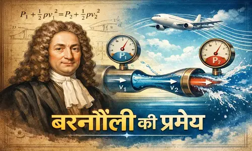 Barnauli Ki Pramey Kya Hai