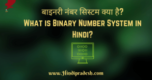 What is binary number system in hindi